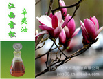 面部排毒_植物原藥材_面部排毒批發(fā)_面部排毒供應(yīng)_阿里巴巴