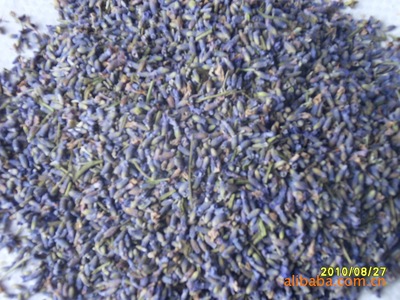 香料種植廠家生產(chǎn) 熏衣草干花 耐高溫香精香料 熏衣草批發(fā)