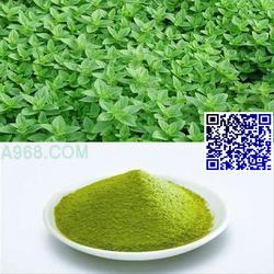 各種香草批發(fā) 各種香草供應(yīng) 各種香草廠家 