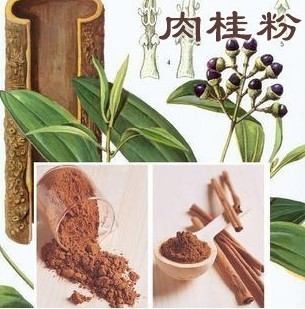 排骨增香粉價格_排骨增香粉-瑞元香精香料_山東青島市排骨增香粉生產(chǎn)供應(yīng)商_食用香料盡在搜了網(wǎng)